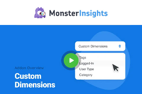 WordPress плагин MonsterInsights Custom Dimensions