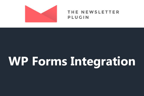 WordPress плагин Newsletter WP Forms Integration