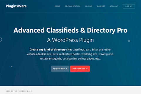 WordPress плагин Advanced Classifieds & Directory Pro