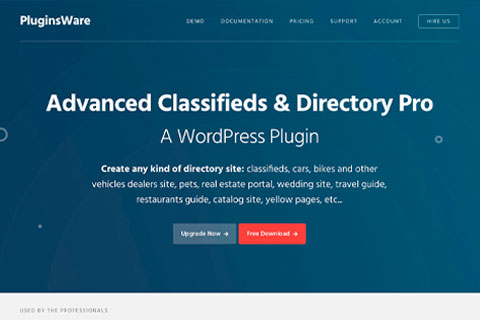 Advanced Classifieds & Directory Pro