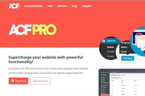 Advanced Custom Fields Pro