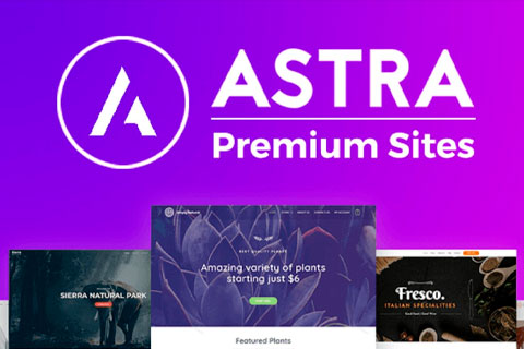 WordPress плагин Astra Premium Sites