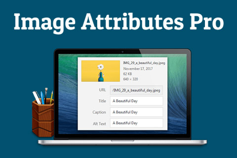 WordPress плагин Auto Image Attributes Pro