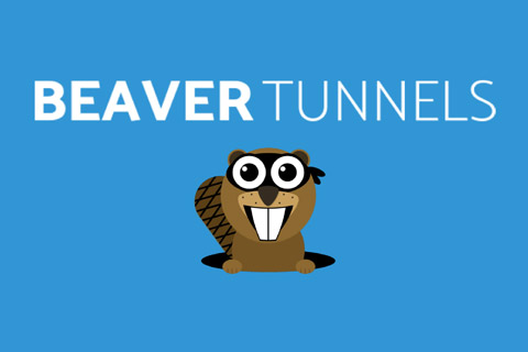 WordPress плагин Beaver Tunnels
