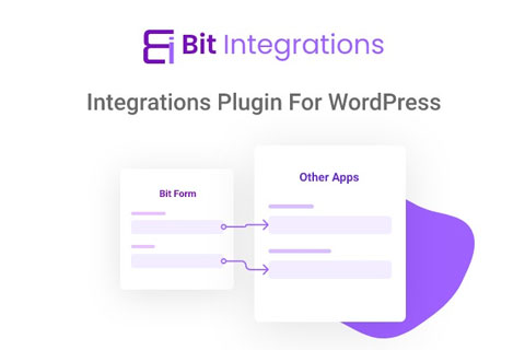 WordPress плагин Bit Integrations Pro
