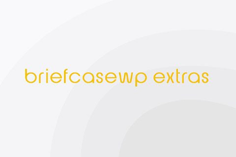 BriefcaseWP Extras