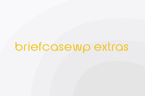 WordPress плагин BriefcaseWP Extras