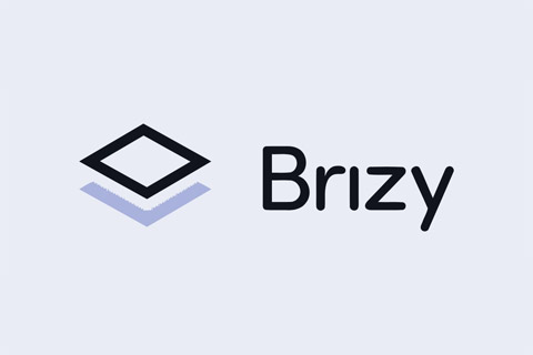 Brizy Pro