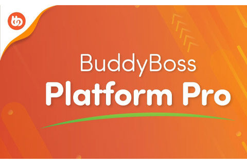 WordPress плагин BuddyBoss Platform Pro