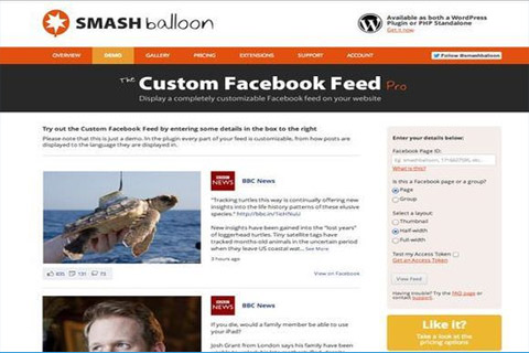 WordPress плагин Custom Facebook Feed Pro