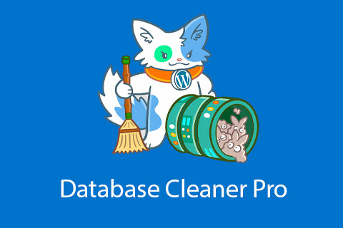 WordPress плагин Database Cleaner Pro