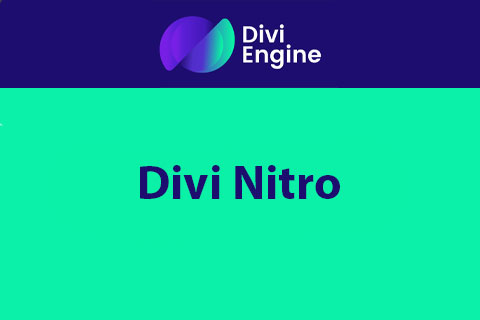 WordPress плагин Divi Nitro