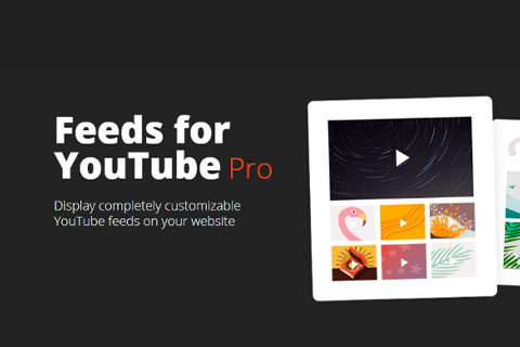 WordPress плагин Feeds for YouTube Pro