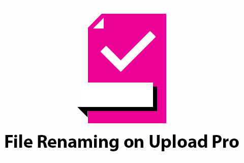 File Renaming on Upload Pro