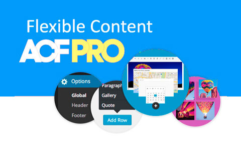 Flexible Content Field