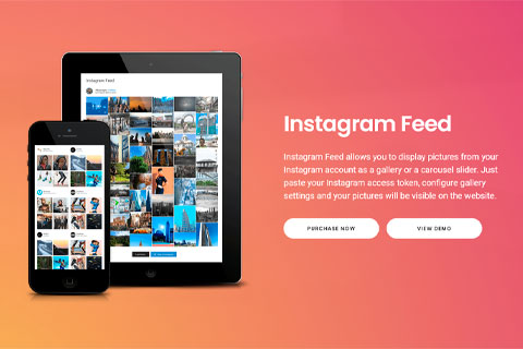 WordPress плагин Social Feed Gallery Pro