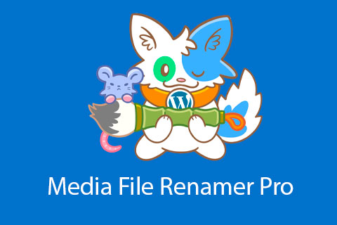WordPress плагин Media File Renamer Pro