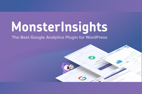 MonsterInsights Pro