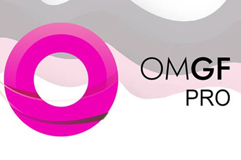 WordPress плагин OMGF Pro