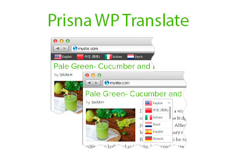 WordPress плагин Prisna WP Translate