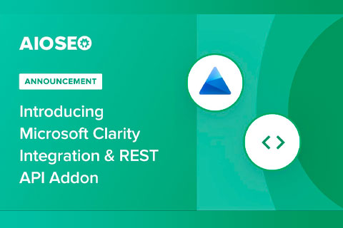 WordPress плагин AIOSEO REST API