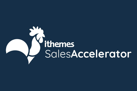 WordPress плагин iThemes Sales Accelerator Pro