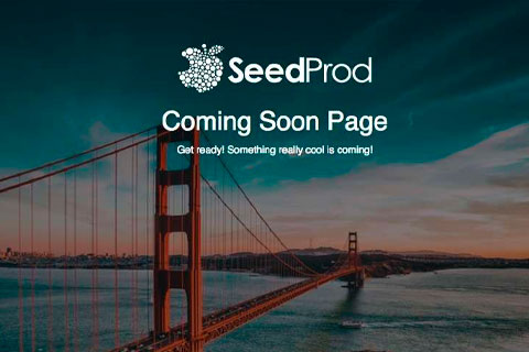 WordPress плагин SeedProd Pro
