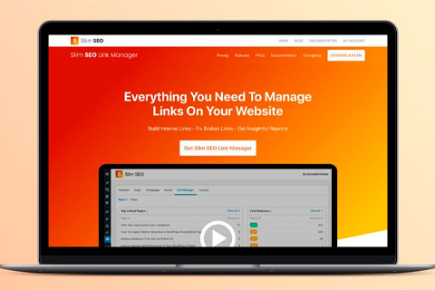 WordPress плагин Slim SEO Link Manager