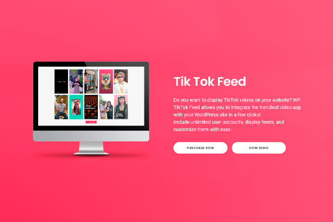 WordPress плагин Tik Tok Feed