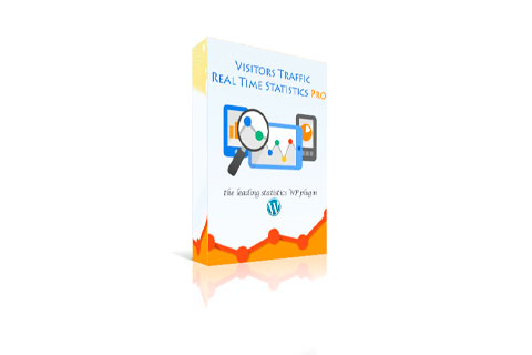 WordPress плагин Visitor Traffic Real Time Statistics Pro