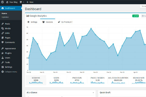 WordPress плагин Laras Google Analytics Pro