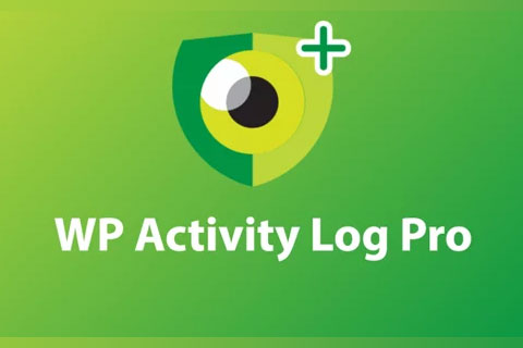 WordPress плагин WP Activity Log Pro
