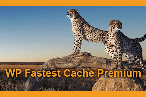 WordPress плагин WP Fastest Cache Premium