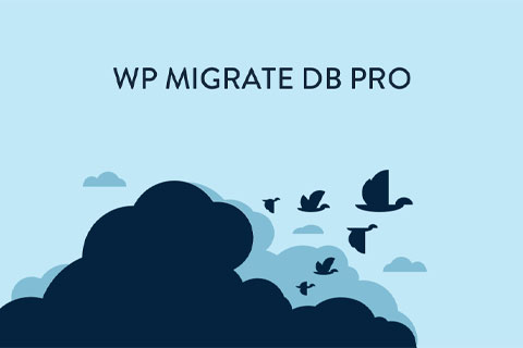 WordPress плагин WP Migrate DB Pro