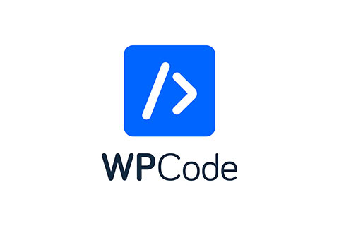 WordPress плагин WPCode Pro