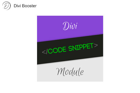 Divi Code Snippet