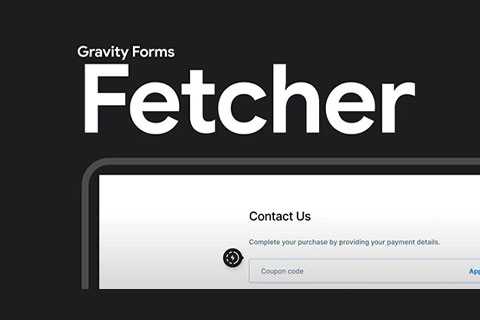 Gravity Forms Fetcher