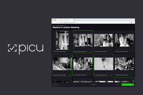 WordPress плагин picu Pro