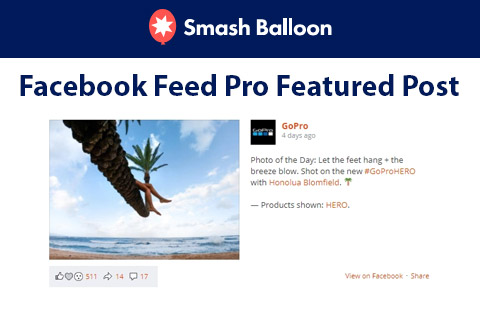 Facebook Feed Pro Featured Post