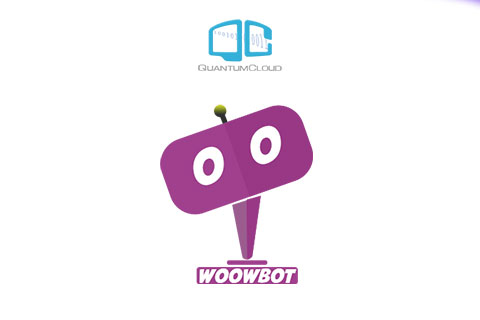 WordPress плагин WoowBot Pro Max