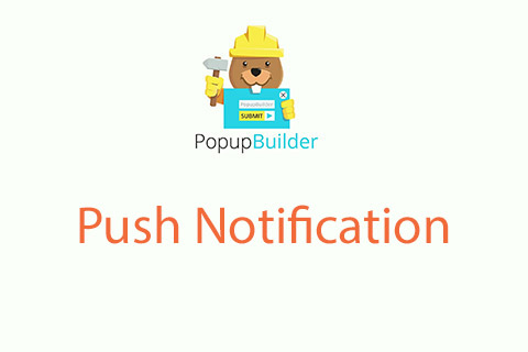 Popup Builder Push Notification