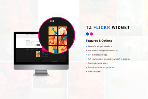 TZ Flickr Widget
