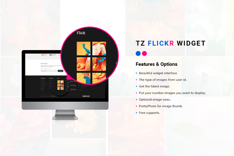 WordPress плагин TZ Flickr Widget