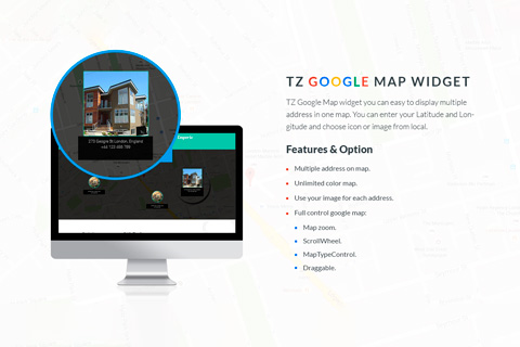 TZ Google Map Widget