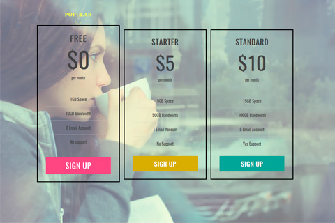 Themify Pricing Table