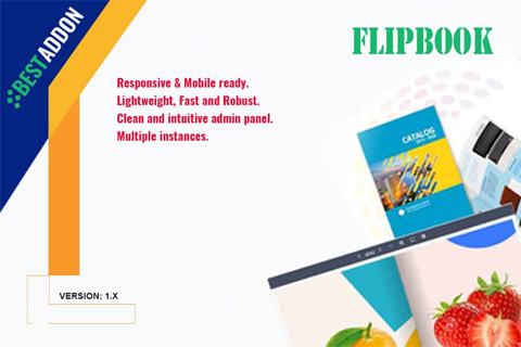 BA FlipBook