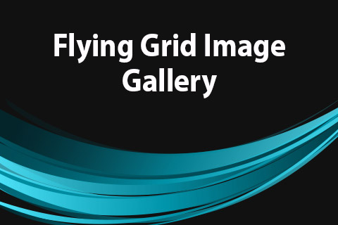 Joomla расширение JoomClub Flying Grid Image Gallery
