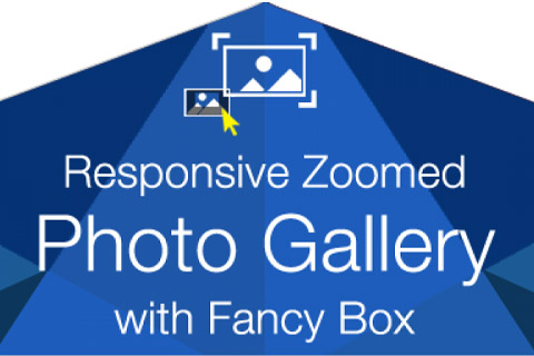 Responsive Zoomed Photo Gallery
