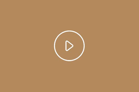 OL Media Player