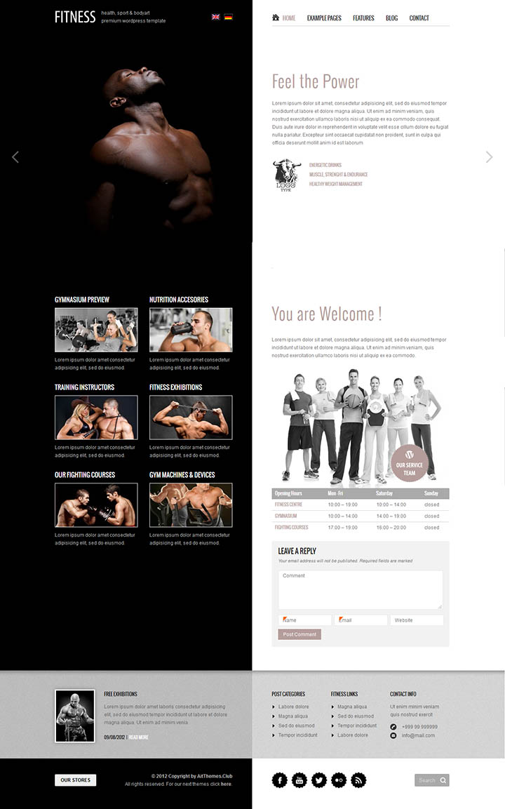 WordPress шаблон AitThemes Fitness